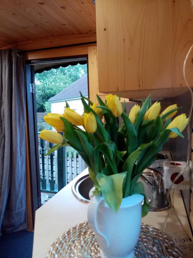 La Girouardière La Flèche Esterno foto
